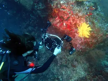 Diver
