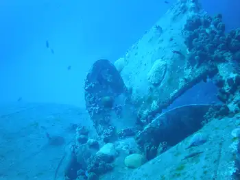 Ship Wreck