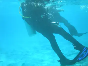 Divers