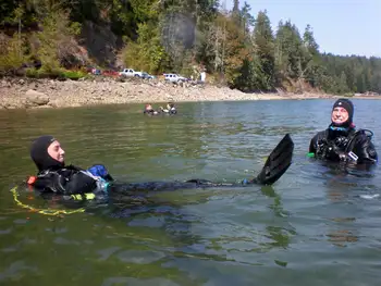 Divers