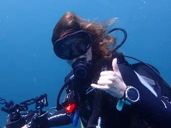 Diver