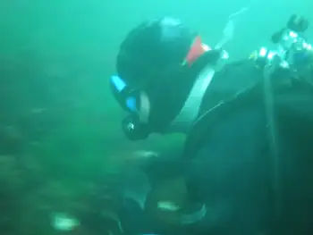 Diver