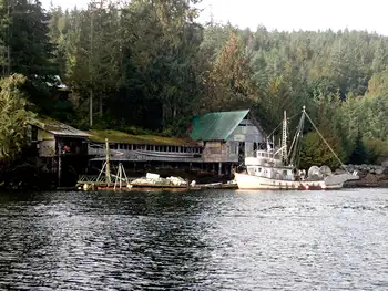 Dive Site