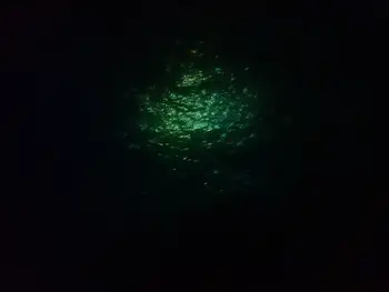 Dive Site