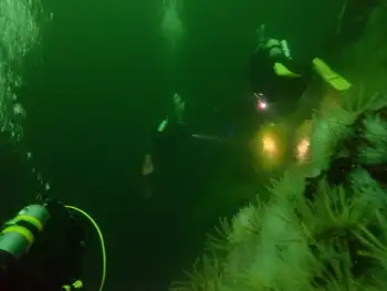 Divers