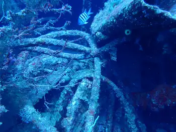 Barge Wreck