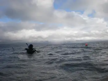 Diver