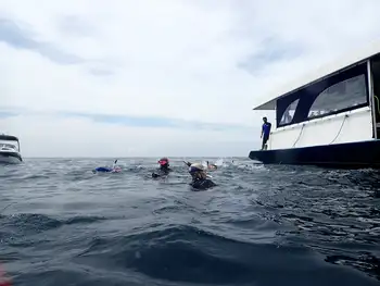 snorkeler