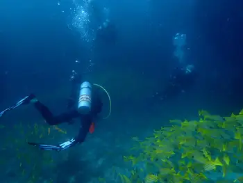 Divers