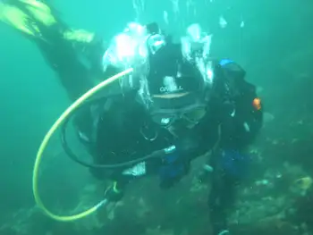 Diver