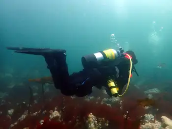 Diver