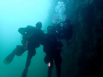 Divers