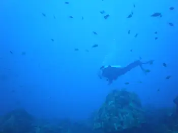 Diver