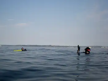 Divers