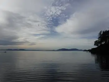 Bay