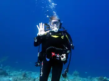 Diver