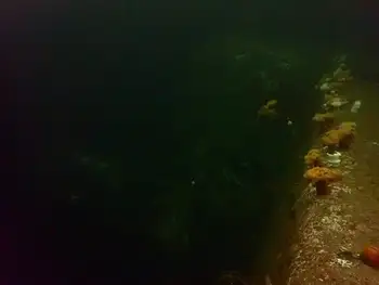 Ship Wreck