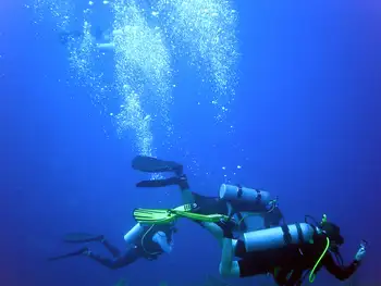 Divers