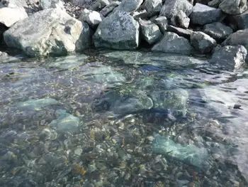 Rocks