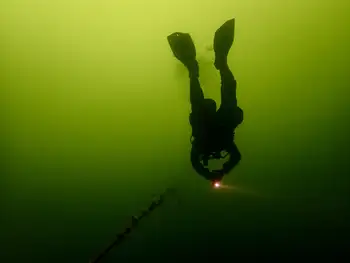 Diver