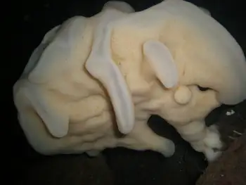 Cloud Sponge