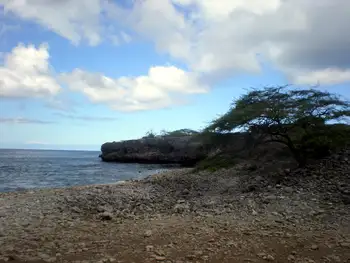 Cove