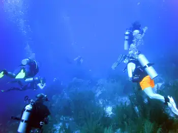 Divers
