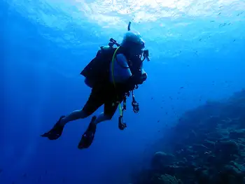 Diver