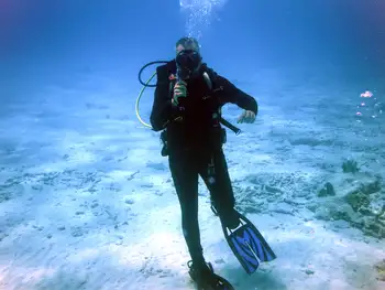 Diver