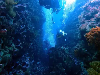 Divers