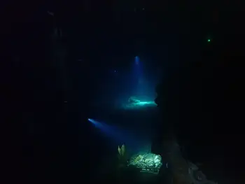 Divers