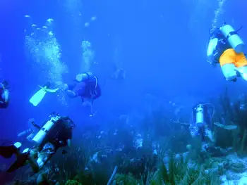 Divers