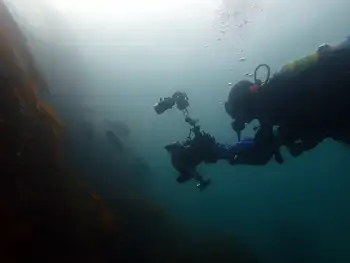 Diver