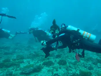 Divers