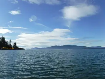 Bay