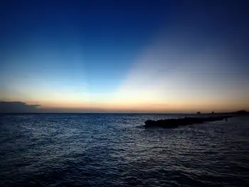 Dive Site