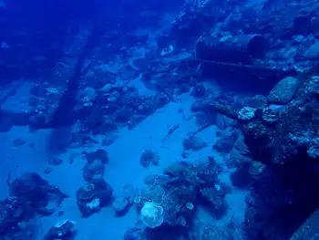 Barge Wreck