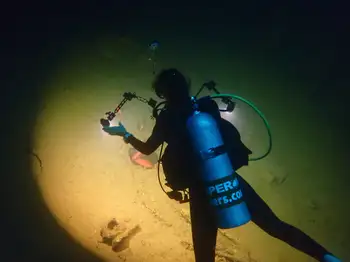 Diver