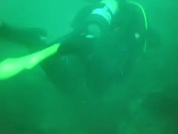Diver