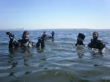 Divers