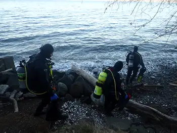 Divers