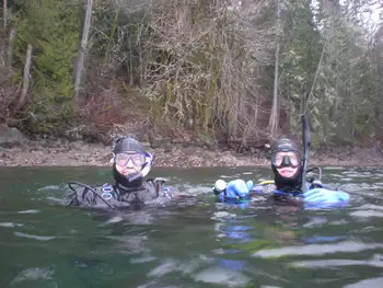 Divers