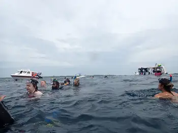 Snorkelers