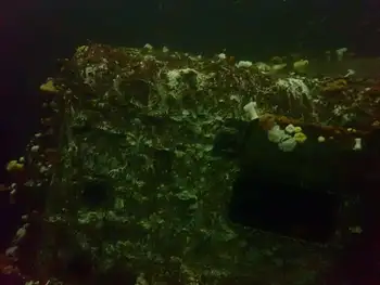 Ship Wreck