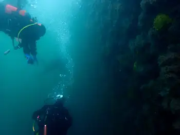 Divers