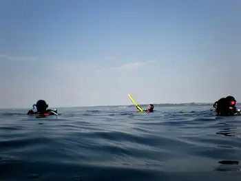 Divers