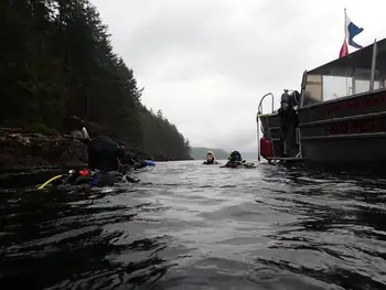 Divers