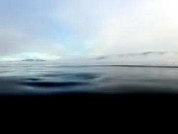 Dive Site