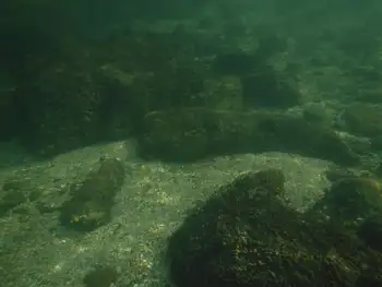 Shallows
