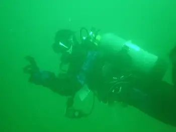 Diver